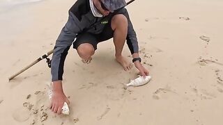 Ловля морского карася и каранкса на поплавок у берегов Боавишты