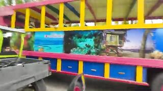 Густаво показал нам каймана в Биг-Понд на Сан-Андресе с помощью рыбки