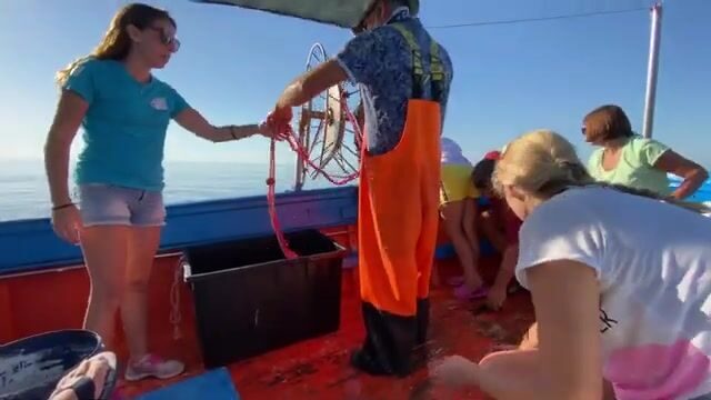 Рыбалка на Сицилии с распутыванием сети