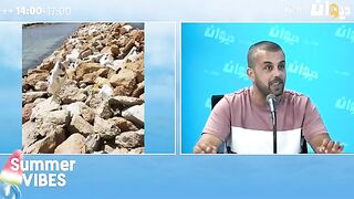 Обсуждение песчано-каменистого берега и портовых вариантов рыбалки в Суссе
