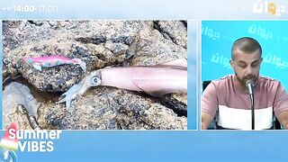 Обсуждение песчано-каменистого берега и портовых вариантов рыбалки в Суссе