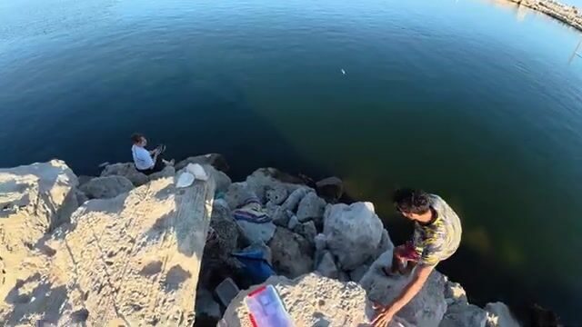 Две кефали добыты после ухода крупной дорады в Махдии