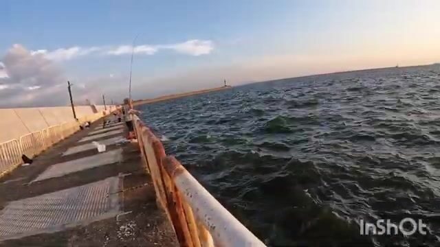 Первая скумбрия в рыболовном саду Осаки