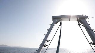 Подъем донного трала с барабулькой на промысловом судне у Дурреса