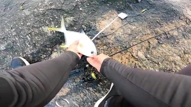 Помпано на Baby Slow с первого заброса на камнях Арпоадора в Рио-де-Жанейро
