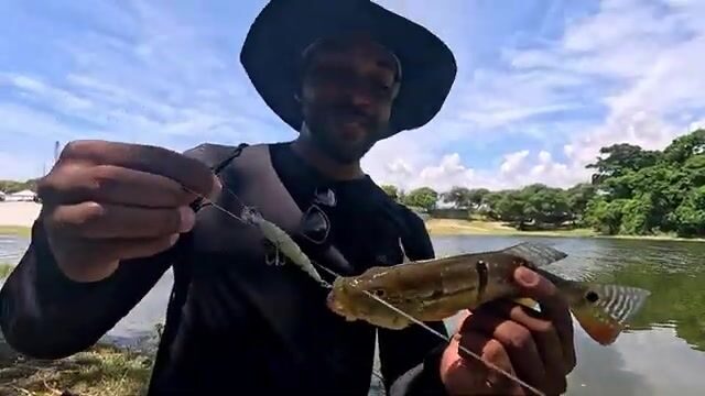 Тукунаре в озере у Итапуа в Салвадоре после схода у друга
