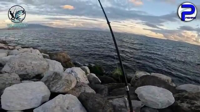 Спиннинговая охота за барракудой в порту Неаполя