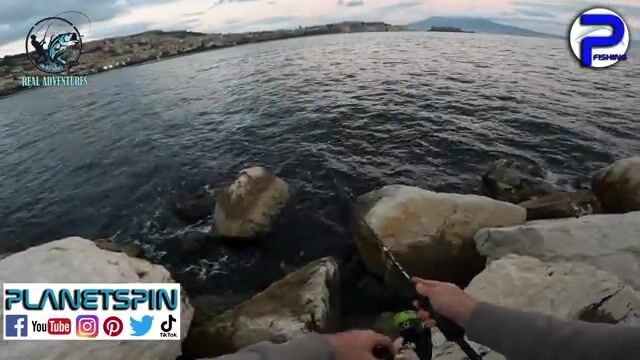 Спиннинговая охота за барракудой в порту Неаполя