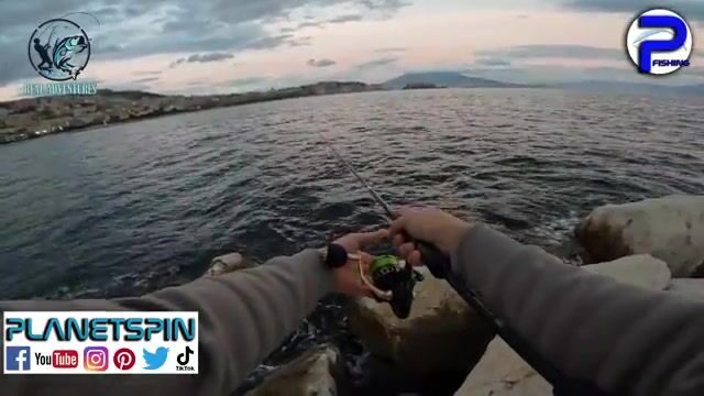 Спиннинговая охота за барракудой в порту Неаполя