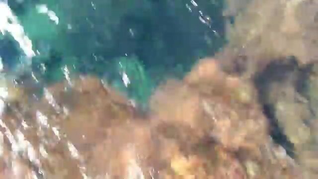 Мои промахи по дораде во время ноябрьского ныряния в Ницце