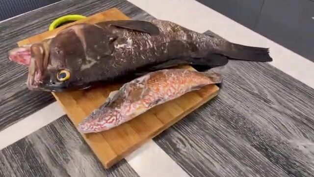 Подводная охота в Ницце на дораду и незнакомую крупную рыбу