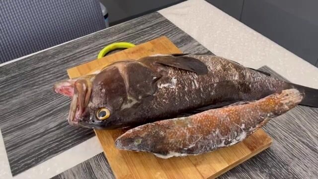 Подводная охота в Ницце на дораду и незнакомую крупную рыбу