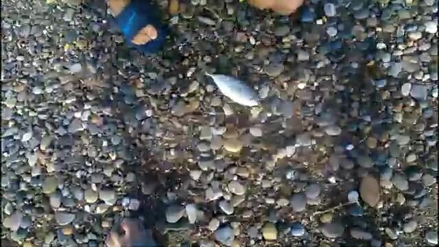 Спиннинговая рыбалка с двумя сыновьями в Палермо