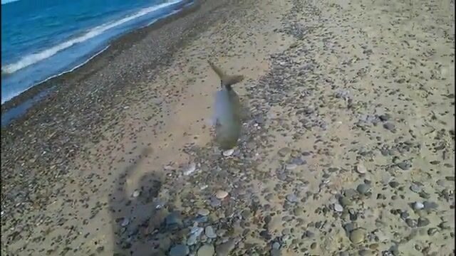 Спиннинговая рыбалка с двумя сыновьями в Палермо