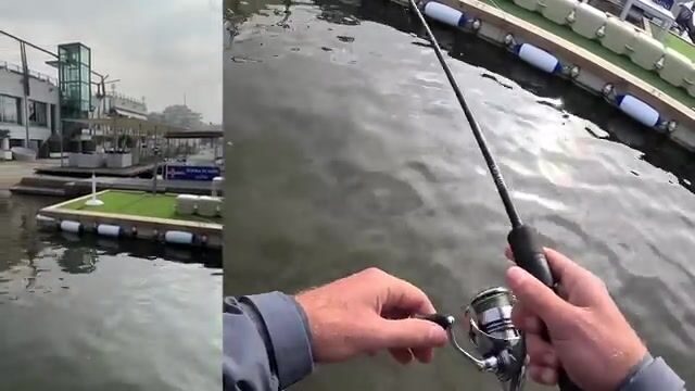 Мой бычок на шэд с головкой 2.5 грамма после поимки Яри в порту Римини