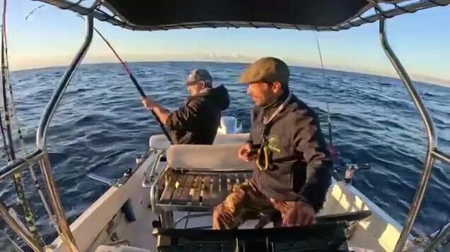 Аяччо и морская рыбалка из порта Тино-Росси на Корсике