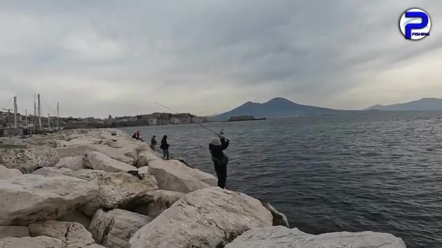 Встреча друзей и необычный спинорог при сильном ветре в Неаполе