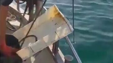 Рыбаки в порту Римини объяснили стоянку лодок дорогим топливом и слизью в сетях