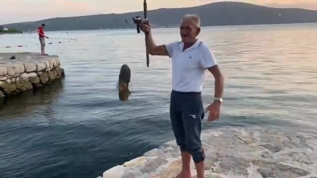Тиватский залив в Черногории как точка береговой и лодочной рыбалки