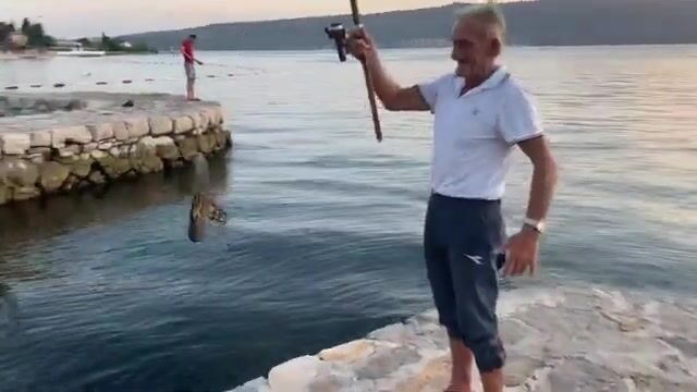 Тиватский залив в Черногории как точка береговой и лодочной рыбалки