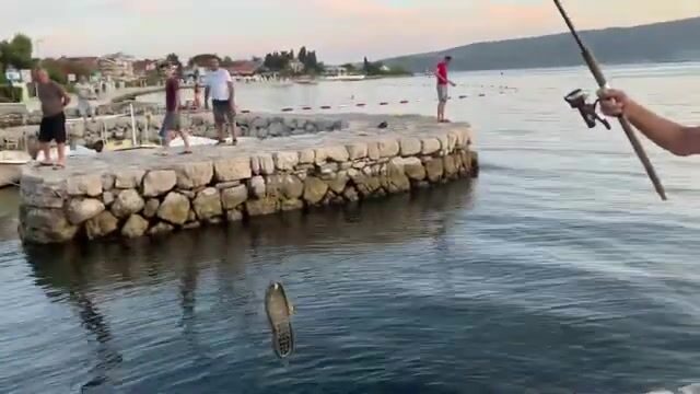 Тиватский залив в Черногории как точка береговой и лодочной рыбалки