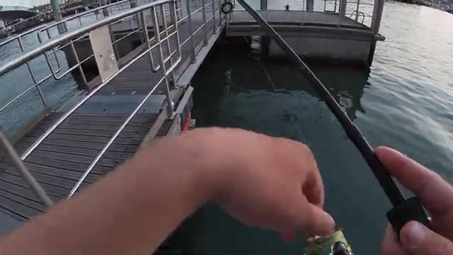 Ловля на креветку и краба в каналах Венеции
