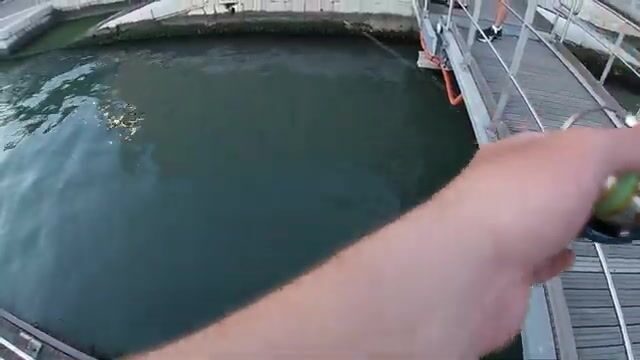 Ловля на креветку и краба в каналах Венеции