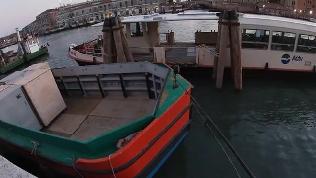 Ловля на креветку и краба в каналах Венеции