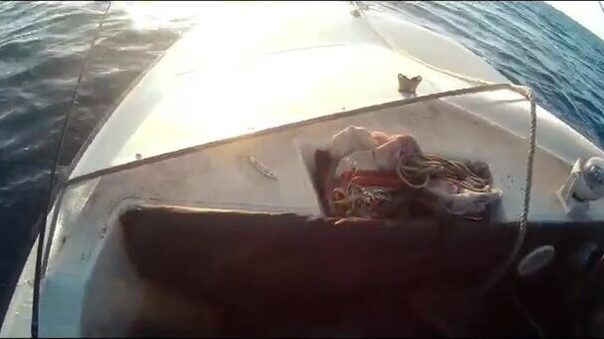 Ловля пеламиды у Ниццы и Сен-Лоран-дю-Вара