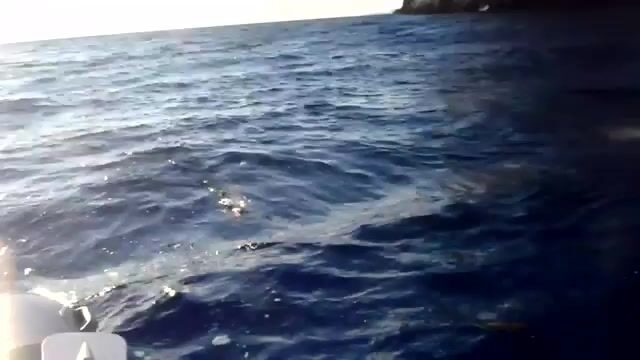 Вечерняя ловля дорады на закате у берегов Закинфа