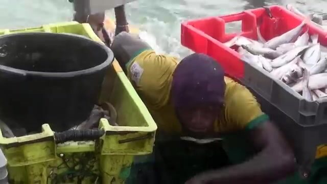 Тяжелый выход за сардиной в море у побережья Сенегала