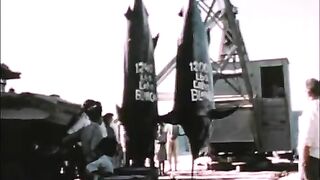 Черные марлины привлекали рыболовов в перуанский Кабо-Бланко в 1950-х