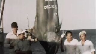 Черные марлины привлекали рыболовов в перуанский Кабо-Бланко в 1950-х
