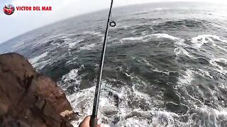 Утренняя ловля пехеррея и скумбрии на скалах Матарани
