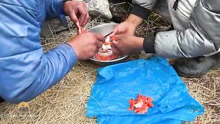Вытягивание сети с форелью из озера в перуанских Андах