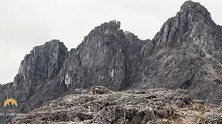 Вытягивание сети с форелью из озера в перуанских Андах