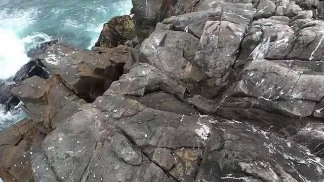 Чаво обогнал меня по улову на новой точке с кабрильей и сапо в Перу