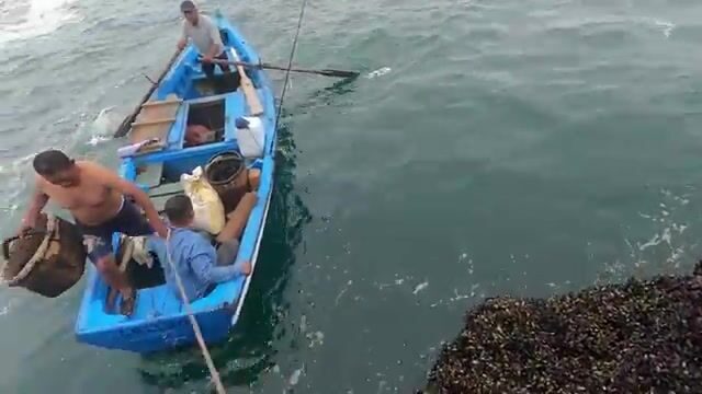Чаво обогнал меня по улову на новой точке с кабрильей и сапо в Перу