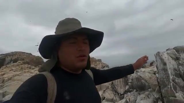 Чаво обогнал меня по улову на новой точке с кабрильей и сапо в Перу