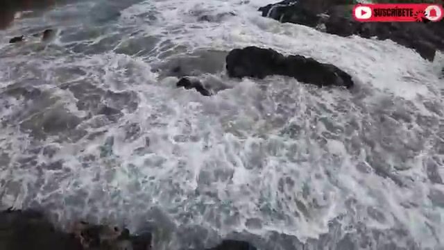 Ручной леской у скал в Перу я снял несколько бурро и отпустил около четырех мелких