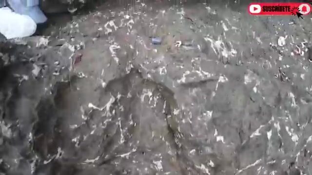 Ручной леской у скал в Перу я снял несколько бурро и отпустил около четырех мелких