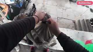 Ночная заготовка муймуй и утренняя продажа в Пукусане, Перу