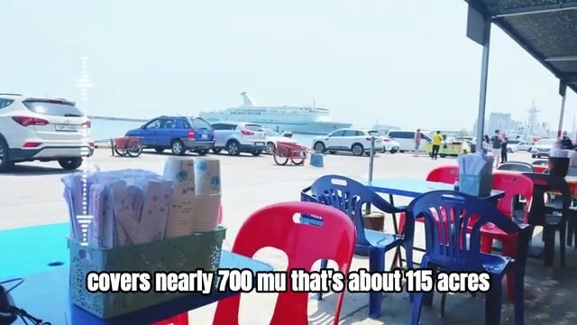 Два способа ловли кальмара у берегов Перу