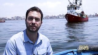 Биолог берет пробу донного осадка в бухте Чимботе в Перу