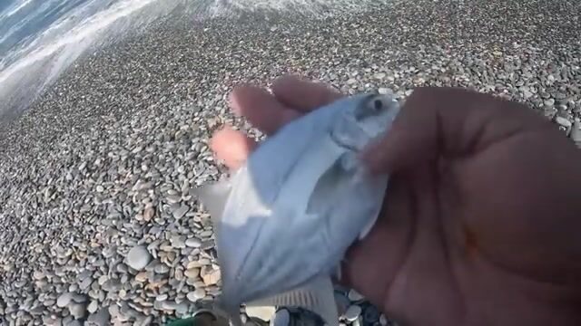 Хуго и Хорхе-Хуан взяли лорн и чит на каменной гряде Плайя-Чика в Перу