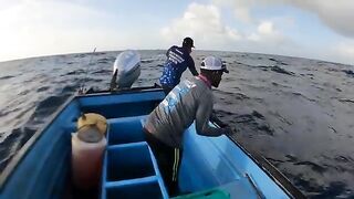 Поимка крупного тунца и возвращение в темноте у Тринидада