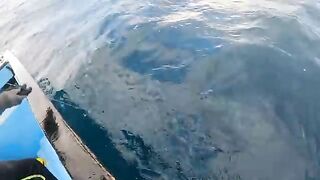 Поимка крупного тунца и возвращение в темноте у Тринидада