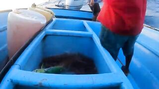 Поимка крупного тунца и возвращение в темноте у Тринидада