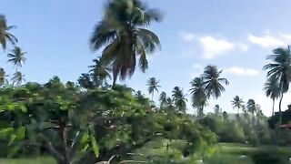 Поимка крупного тунца и возвращение в темноте у Тринидада