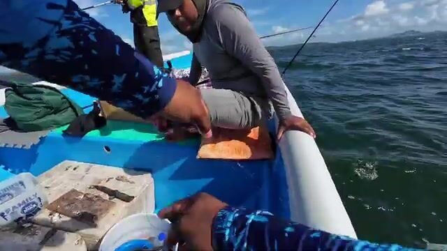 Двенадцатичасовой выход в море у берегов Тринидада